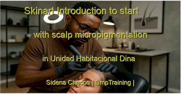 Skinart Introduction to start with scalp micropigmentation in Unidad Habitacional Dina Sidena Chacon | SmpTraining | SmpClasses | SkinartTraining-Mexico